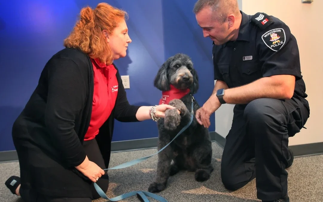 Windsor Police partners with St. John Ambulance Windsor-Essex Therapy Dog Program, bringing therapy dogs to police headquarters